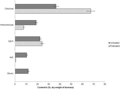 Synergistic Enzyme Cocktail to Enhance Hydrolysis of Steam Exploded Wheat Straw at Pilot Scale